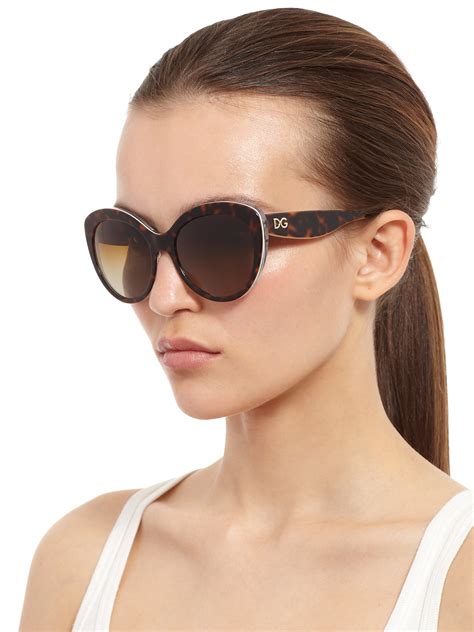 dolce sunglasses